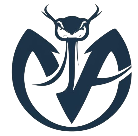 VV Logo